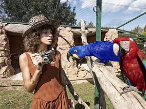 George+Livieratos+Safari+or+Harper's+Bazaar+Vietnam+May+2020+(7).jpg