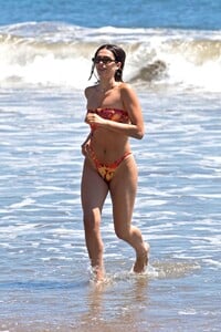        ham230520BZNimage7.jpg