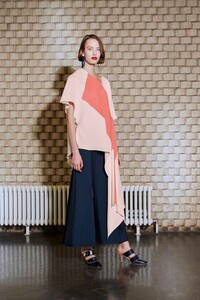 30-roksanda-prefall-2017.thumb.jpg.b341f8a6a25e8190bf8a76c9ba60cac9.jpg