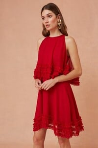 302001057_moonlight_mini_dress_622-scarlet_g_2882-edit_1024x1024.thumb.jpg.da9bff3fd3061ef2e72084074e41ce16.jpg