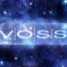 Michele Voss