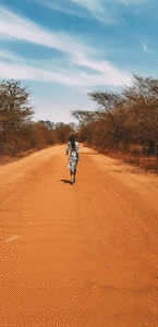 6.gif