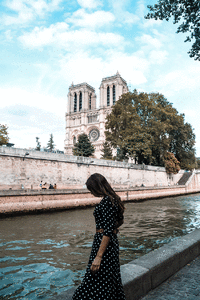 6.gif