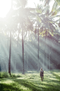 7f9c9275a08a35db2488769a06dd386e.gif