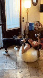 giphy (2).gif
