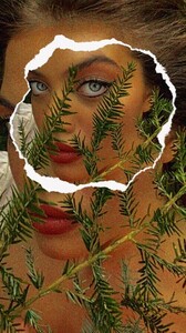 IMG_5975.thumb.jpeg.80531c7401430bfa650b8e40ee8a0ac8.jpeg