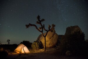 JoshuaTree_nightskytent.thumb.jpg.6af3288e1cba352b262aec4dfe445a40.jpg