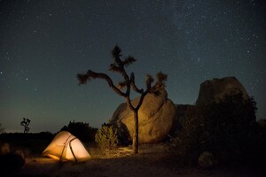 JoshuaTree_nightskytent.thumb.jpg.6af3288e1cba352b262aec4dfe445a40.jpg