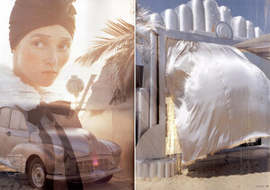 ReflectionoftheSilverScreenofIndia005.jpg