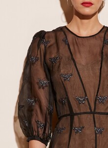 butterfly_crop_1200x.jpg