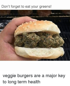 dont-forget-to-eat-your-greens-veggie-burgers-are-a-18510867.thumb.png.195dde6952c723779ebdc9d0be1d1da4.png