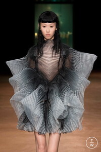 iris-van-herpen-2017-18-004-2bd563.thumb.JPG.a64bf23da4f44966041ce6dc8b7d5432.JPG