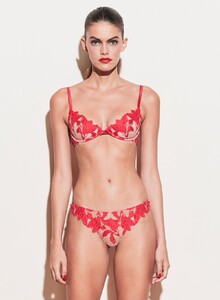 lily_demi_red_poppy_crop1_1200x.jpg