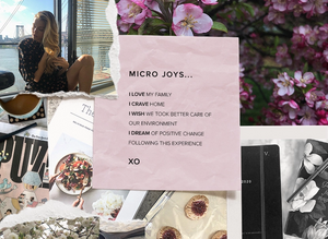 micro-joy-collage-vl.jpg.png