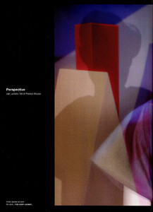perspective0001.jpg