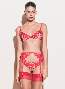 red_poppy_lily_crop1_2600x.jpg