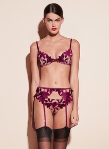 velvet_lily_dahlia_crop3_1200x.jpg