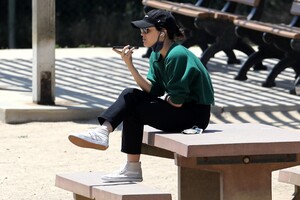       hal040620BZNimage121.jpg