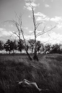 maxmotel_sw_hedonist-post_greta-faeser_sep19_13_nature_tree_nude_3582-768x1151.thumb.jpg.1a62ed2b1525cbad9bd9c339e28133cf.jpg