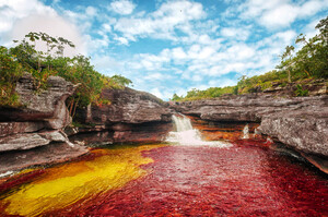 190501175309-06-canos-cristales-colombia.jpg