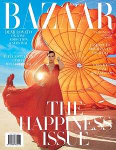 Bazaar Indonesia 720.jpg