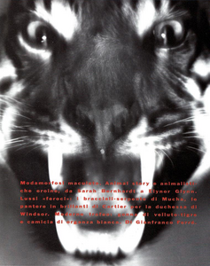 Animal_Watson_Vogue_Italia_July_August_1989_05.thumb.png.03c9a0a0e6d6a9cb0c627e0b3321feb8.png