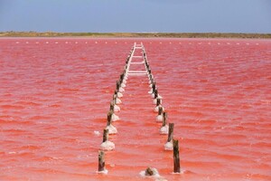 Salinas-de-Galerazamba-mar-rosado-en-colombia.thumb.jpg.d82bc14f1c2b69251d7d09cdab593037.jpg