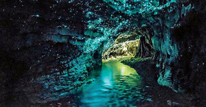 TRULYs-Wonderful-World-New-Zealands-Glowworm-Caves.jpg
