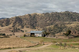 image-5.jpg