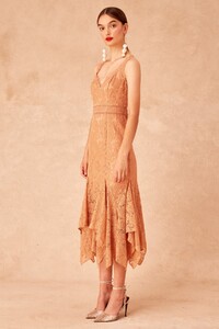 30190746_lonely_lace_midi_dress_234-fawn_g_1003.jpg