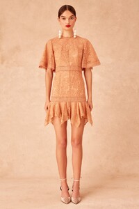 30190747_lonely_lace_mini_dress_234-fawn_g_0896.jpg