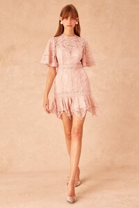 30190747_lonely_lace_mini_dress_682-mink_g_1690.jpg