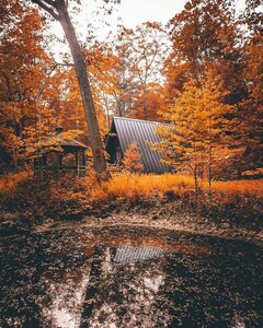 tumblr_1e8288033c54b3138ac0ed405871f6a8_06a00b52_540.jpg