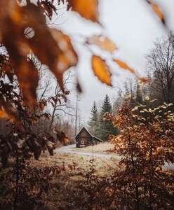 tumblr_212719f4cc33f008550a723f92c3dda2_289920b4_540.jpg