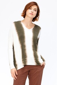 12922W-cygnuswash-1.jpg