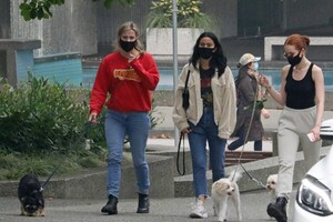        lil140920BZNimage118.jpg