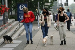        lil140920BZNimage111.jpg