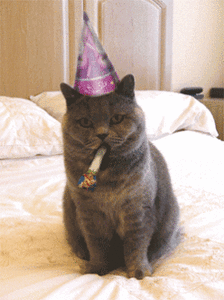 24B8A1DD-5D0D-4EF9-B9DC-6C63BDD584DA.gif