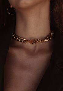 DELPHINECHOKER.thumb.jpg.de52a6d9079e99b371e1f6ba437367c2.jpg