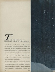Snowdrops_Avedon_US_Vogue_March_15th_1966_01.thumb.jpg.b803c4b0231f1af9debfab3844d3b3c8.jpg