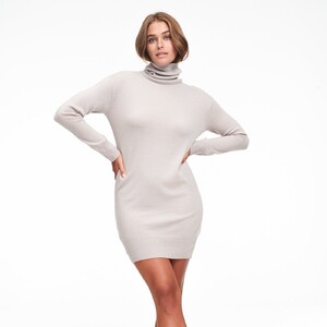 WE82131_CASHMERE_TURTLENECK_DRESS_PALE_GRAY_04.thumb.jpg.2a174561ca794e67f8a1a0bdf791efae.jpg