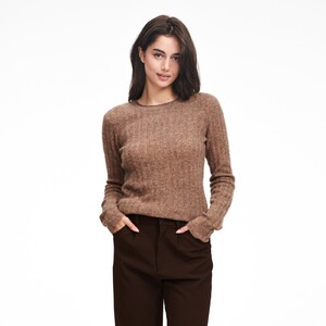 WE92129_CASHMERE_RIBBED_SWEATER_MARLED_BROWN_02.thumb.jpg.3e2d4f9642444a3e9bc6fae318a99989.jpg