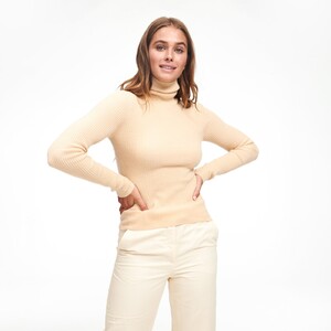 WE92135_CASHMERE_RIBBED_TURTLENECK_PALE_YELLOW_25.thumb.jpg.3b52c1f501fd03bc414637dcf6d13a0f.jpg