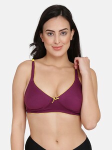 non-padded-40c-no-regular-regular-cl-11-purple-c20-curvy-love-original-imafshf6xwmhzfgu.jpeg