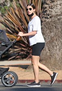         lea011020BZNimage11.jpg