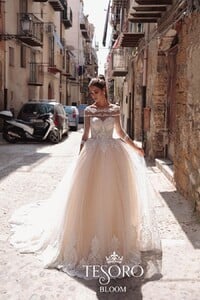 Perfect wedding dresses Tesoro (11).jpg