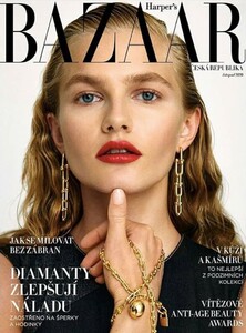 Bazaar Czech 1020.jpg