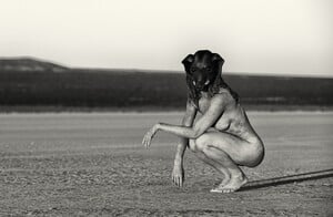 329059150_ELEPHANTcopy.thumb.jpg.5d97119e28add57db89084499e6b8904.jpg