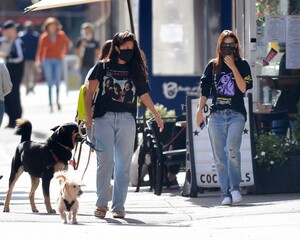        rat161020BZNimage109.jpg