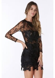 Beautiful, slim fitting sheer lace dress!.jpg